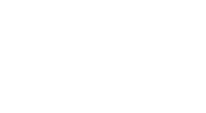 羅格科技